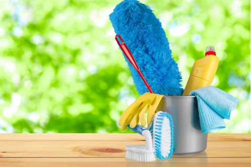 Local professional cleaners working in a residential property