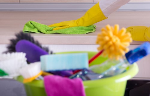 Professional window cleaning service for local homes and businesses