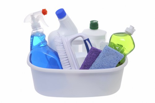 Local cleaning company serving homes and businesses in Professional