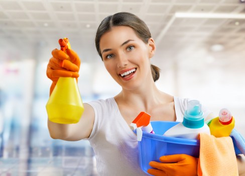 One-off deep cleaning support for properties in Professional