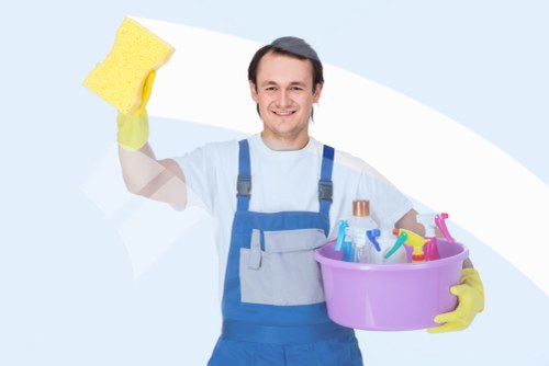 Mobile-friendly secure payment area for professional sofa cleaning