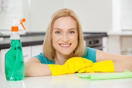 Local deep cleaning team tackling a bathroom descaling and sanitising job