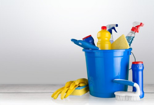 Upholstery cleaning process for a living room sofa