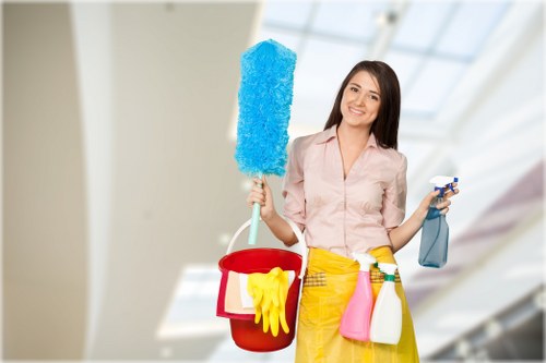 Move-out cleaning checklist and tidy rental home in Professional