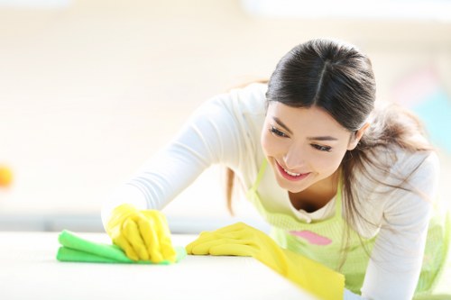 Cleaner working on stair and hallway carpet care in Professional