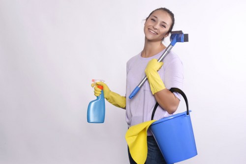 Cleaning supplies and recyclable packaging prepared for eco-friendly sofa cleaning