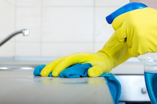 Local carpet cleaning service treating high-traffic areas in a Professional property