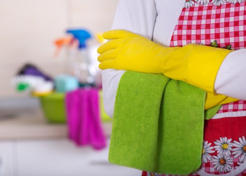Low-carbon van used for sustainable sofa cleaning service routes