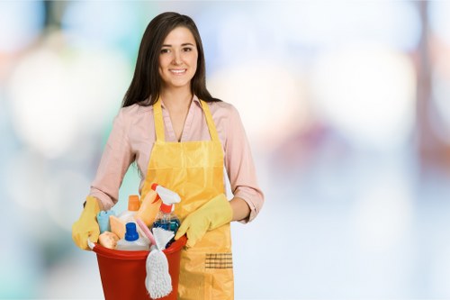 Kitchen and bathroom domestic cleaning service in Professional