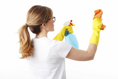 Professional couch cleaning and sofa maintenance for a clean modern interior