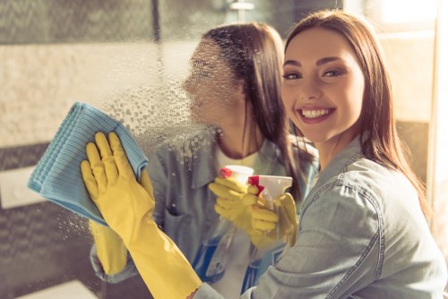 Annual governance review for professional sofa cleaning compliance