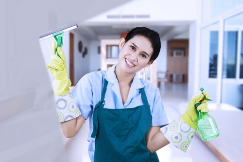Carpet cleaning preparation and stain treatment for a local home