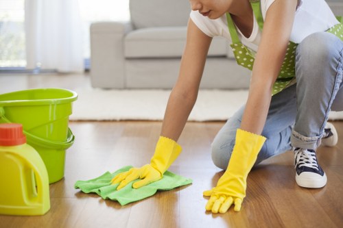 Professional sofa cleaning terms and service conditions document