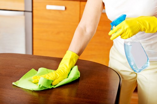 Technician cleaning upholstered dining chairs in Professional